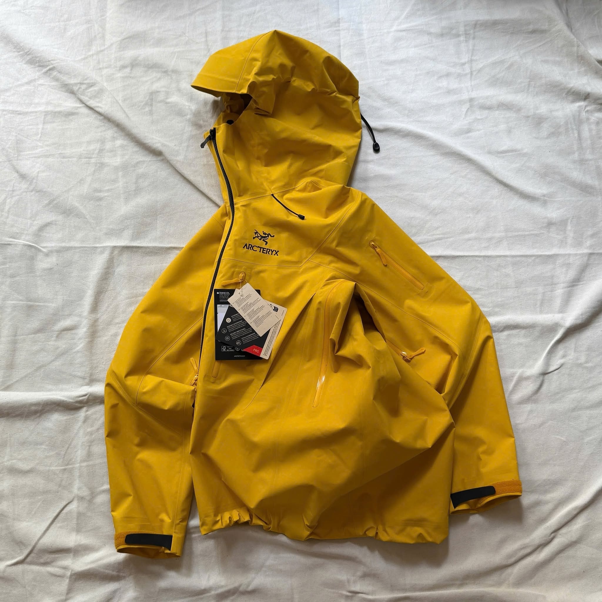 Alpha SV Larch